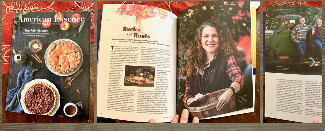 In the Spotlight: Heritage & Press Highlights